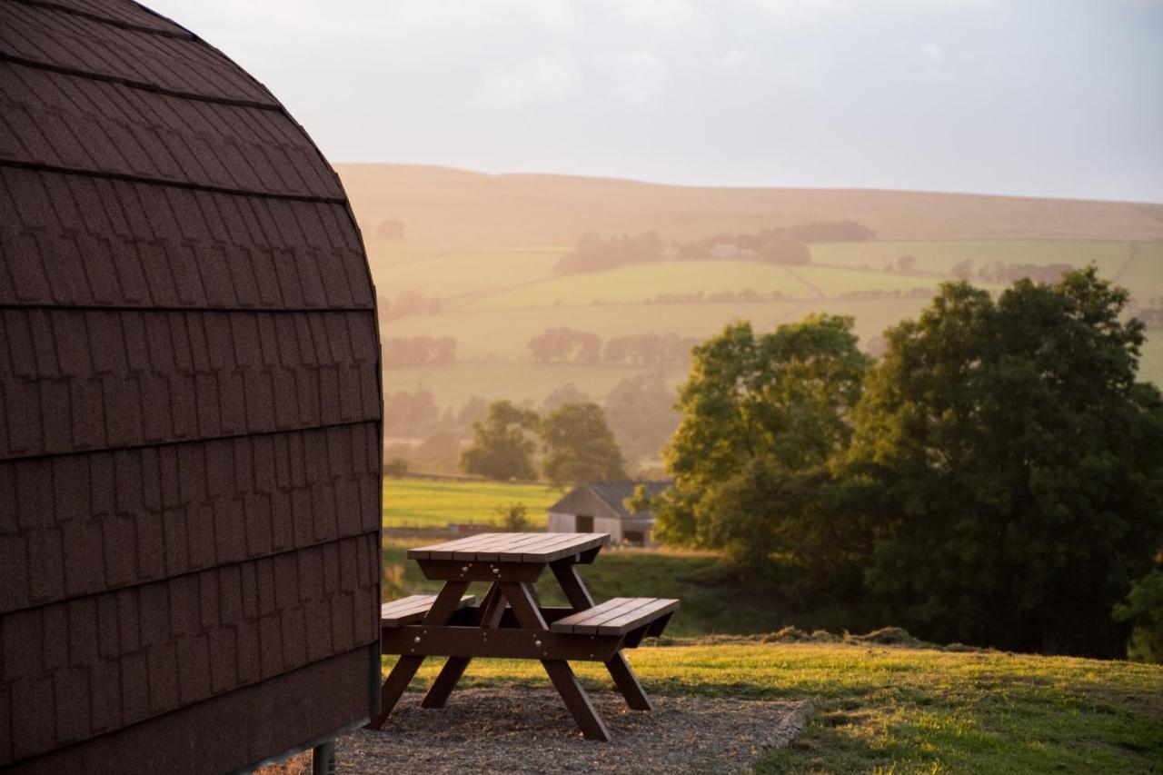 Вілла Wild Northumberland Glamping Гексем Екстер'єр фото