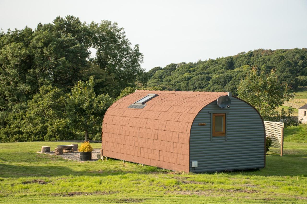 Вілла Wild Northumberland Glamping Гексем Екстер'єр фото